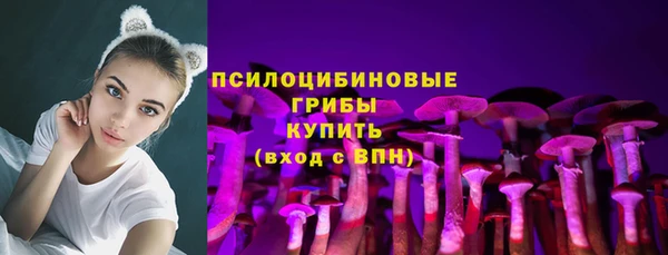 дживик Зеленокумск