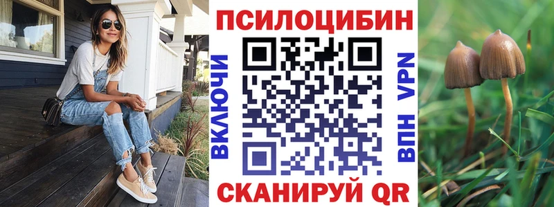 мега   где купить   Кизилюрт  Галлюциногенные грибы MAGIC MUSHROOMS 